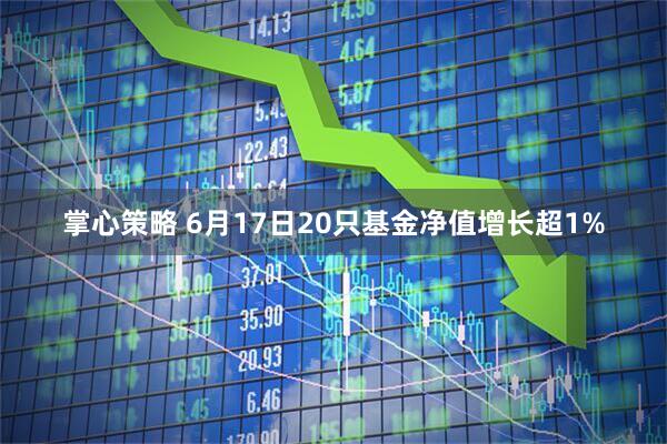 掌心策略 6月17日20只基金净值增长超1%