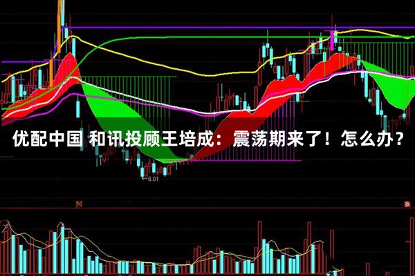 优配中国 和讯投顾王培成：震荡期来了！怎么办？