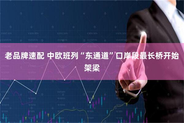 老品牌速配 中欧班列“东通道”口岸段最长桥开始架梁