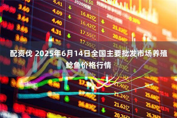 配资伐 2025年6月14日全国主要批发市场养殖鲶鱼价格行情