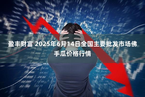 盈丰财富 2025年6月14日全国主要批发市场佛手瓜价格行情