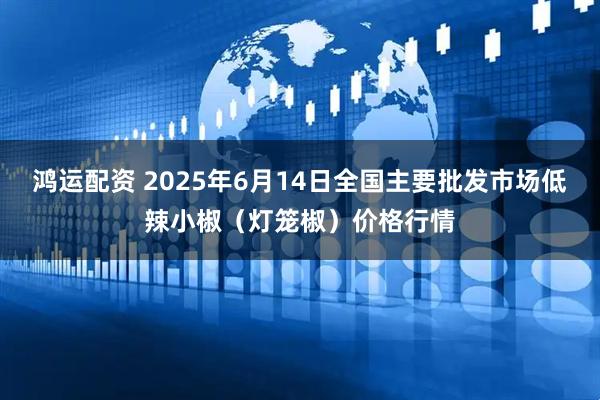 鸿运配资 2025年6月14日全国主要批发市场低辣小椒（灯笼椒）价格行情